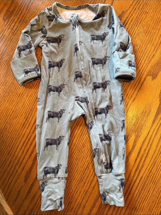 Cowkid Clothing Co. Other - Cowkid Clothing Co. Onesie
